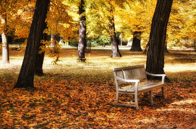 park na podzim